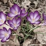 "Sustainable Generosity" Sermon by Rev. Dr. Stephanie May