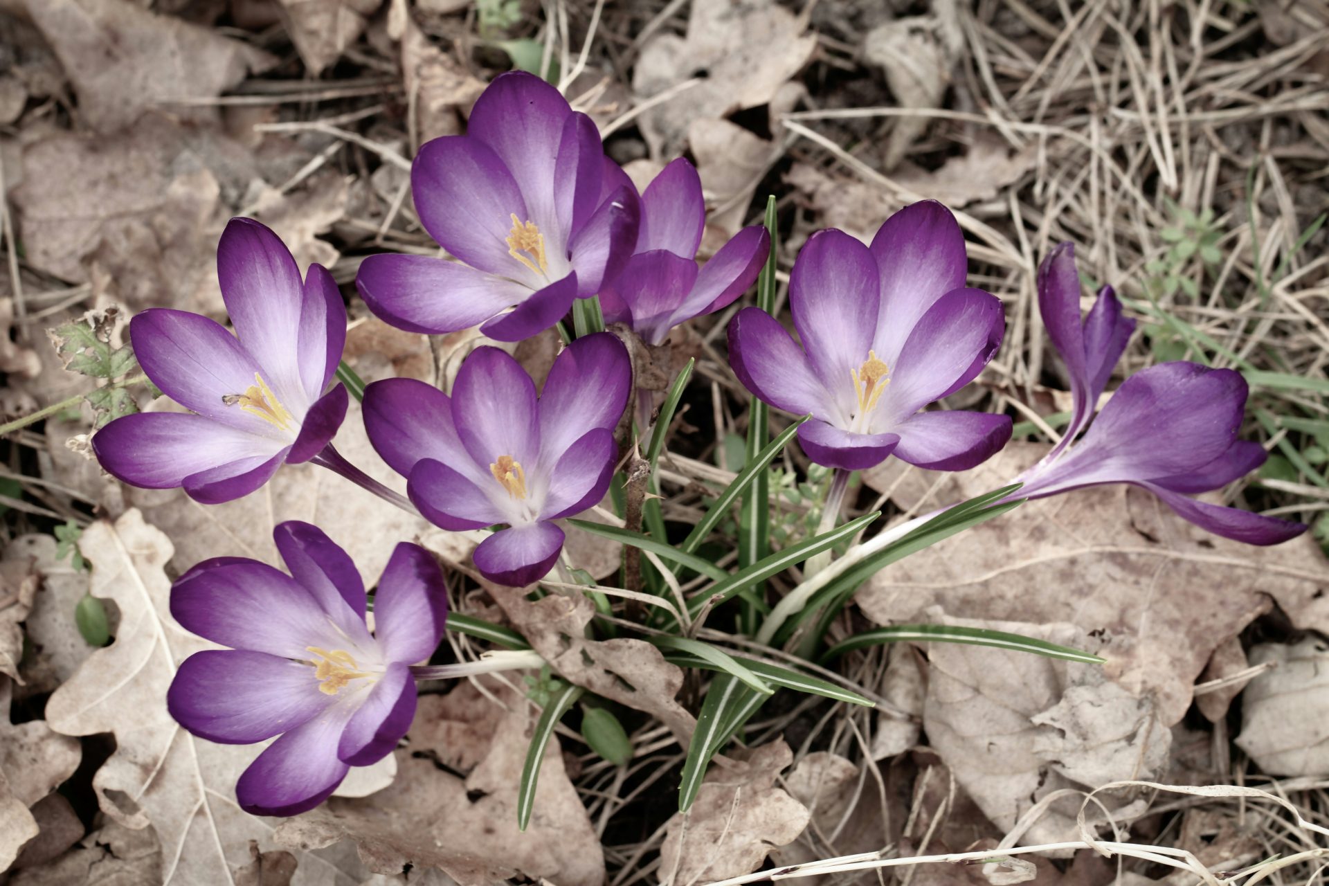 "Sustainable Generosity" Sermon by Rev. Dr. Stephanie May