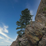 "The Wisdom Hidden in Pain" Sermon by Dr. Helen Riess, Guest Speaker 