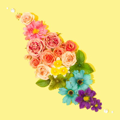 Sermon: "Their Place in the Sun" Rev. Dr. Stephanie May